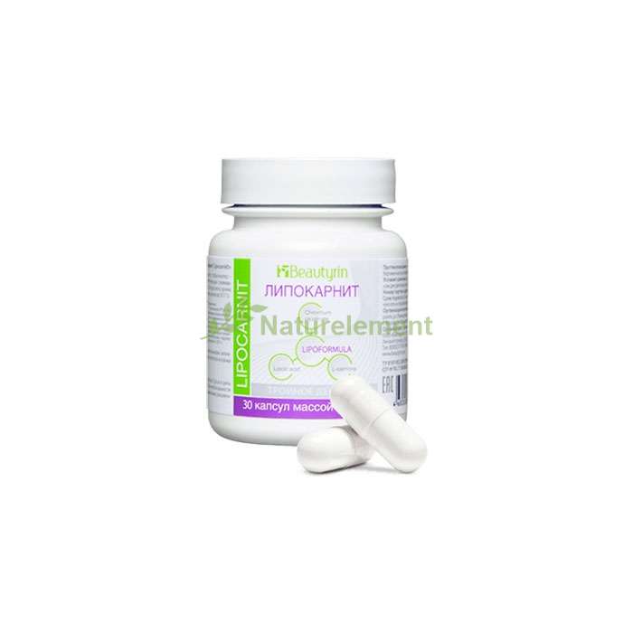 Lipocarnite